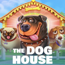 Sloturi The Dog House Megaways