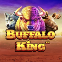 Sloturi Buffalo King